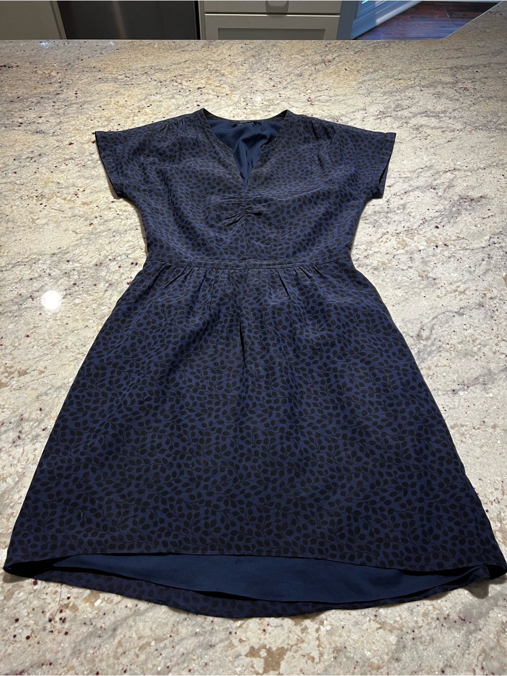 Madewell Blue and Balck Printed Fit-and-Flare Dress